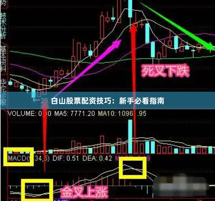 白山股票配资技巧：新手必看指南